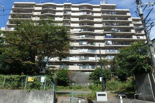コスモさがみ野