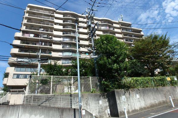 コスモさがみ野