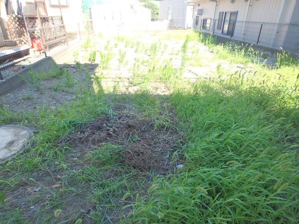 綾瀬市寺尾南2丁目の土地(現地土地写真)