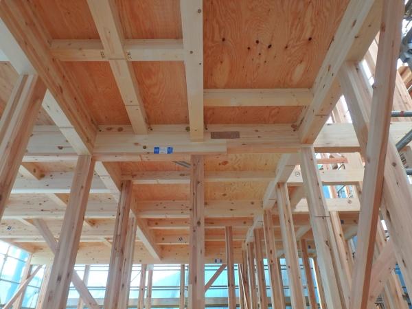 綾瀬市早川の新築一戸建