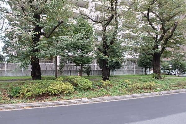 エステ・スクエア小田急相模原ステージ3