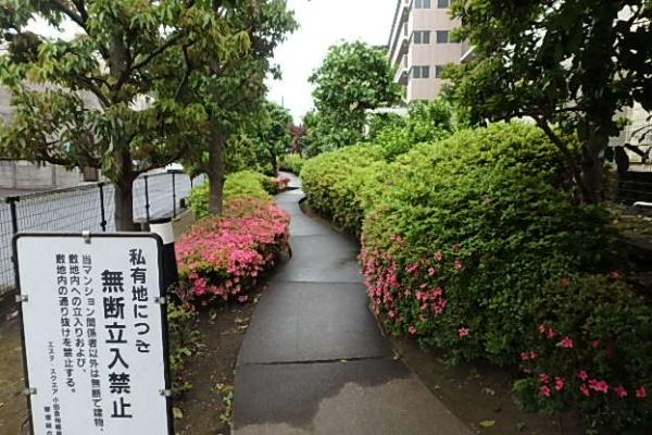 エステスクエア小田急相模原ステージⅣ