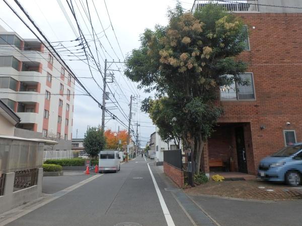 海老名市東柏ケ谷５丁目の中古一戸建て