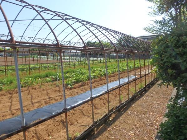 海老名市中新田４丁目の中古一戸建て