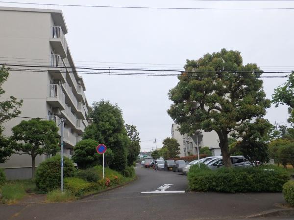 東建ニューハイツ海老名１３号棟