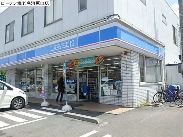 東急ドエル海老名プラーザ３号棟(ローソン海老名河原口店)