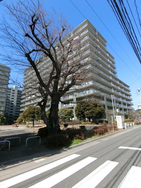 ルアンジュさがみ野ダンデライオンイーストリーフ