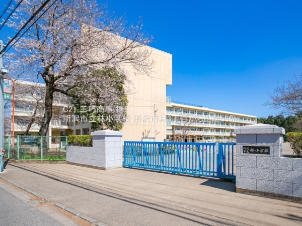 所沢市林３丁目の土地(所沢市立林小学校)
