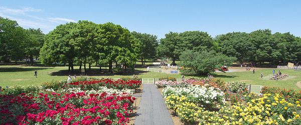 イニシアクラウド二子玉川 イースト(砧公園)