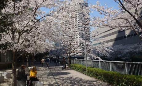 セザール第2戸越銀座(亀の甲緑地)