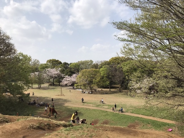 グランシティたまプラーザⅠ(菅生緑地)