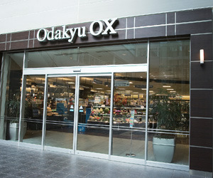 世田谷区砧8丁目の土地(OdakyuOX成城店)