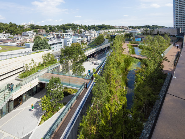 玉川台スカイマンション(二子玉川ライズ)