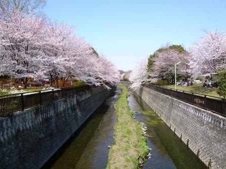 成城アンバサダー(祖師谷公園)
