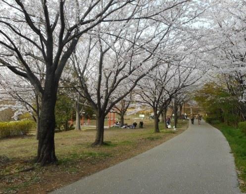 横浜市都筑区早渕１丁目の土地(早渕公園)