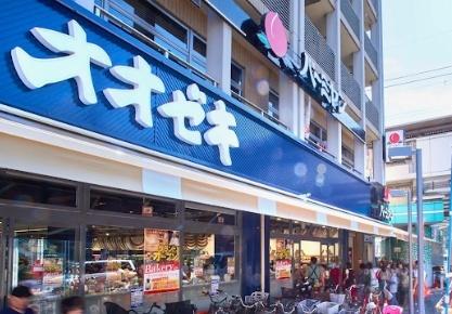 藤和上北沢ホームズ(スーパーオオゼキ八幡山店)