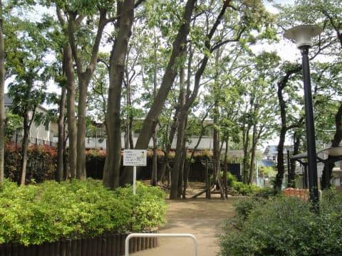 ストークグラン深沢(深沢一丁目緑地)