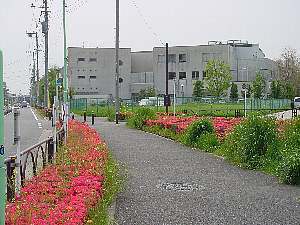 世田谷区鎌田２丁目の土地(世田谷区立鎌田図書館)