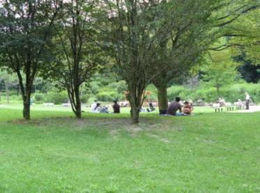 宮前平ロイヤルマンション(向ケ丘緑地)