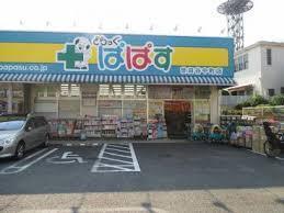 世田谷区砧１丁目の新築一戸建(どらっぐぱぱす世田谷桜丘店)