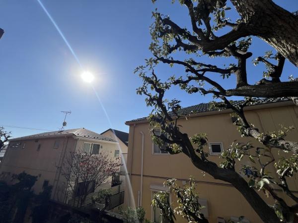 ライオンズマンション上野毛第二