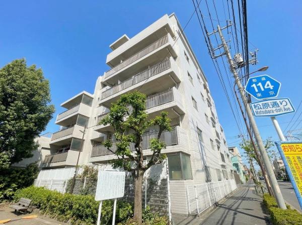 ラヴィドール狛江