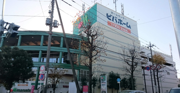 ヒルハイツたまプラーザ(ビバホーム川崎宮前店)