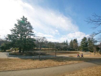 ヒルハイツたまプラーザ(美しが丘公園)