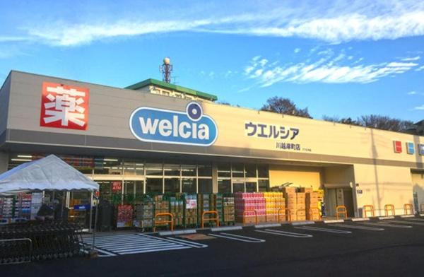 川越市岸町１丁目の中古一戸建て(ウエルシア川越岸町店)