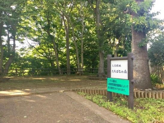 川崎市宮前区西野川３丁目の中古一戸建て(久末緑地)