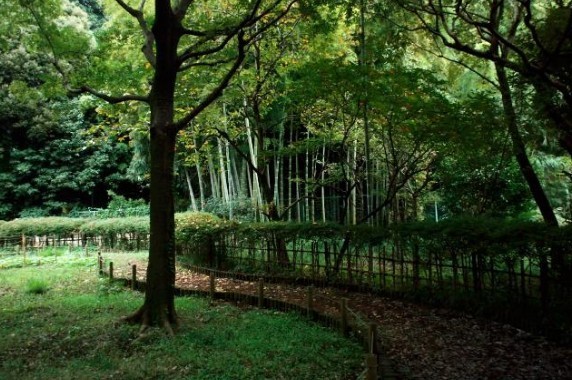 世田谷区鎌田２丁目の土地(岡本静嘉堂緑地)