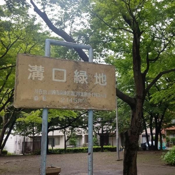 クリオ溝の口壱番館(溝口緑地)