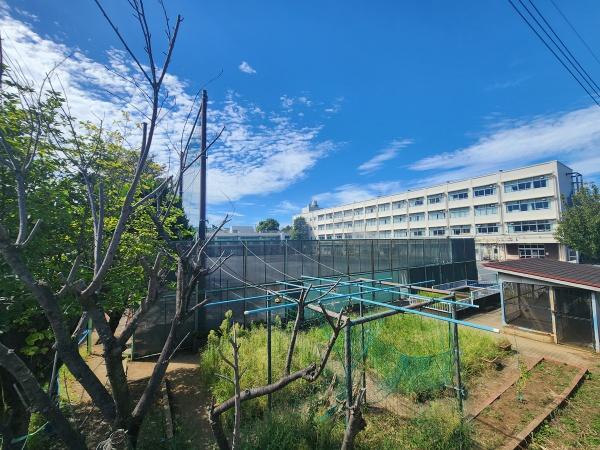 ガルボシティ横浜市旭区中沢1丁目(横浜市立中沢小学校)