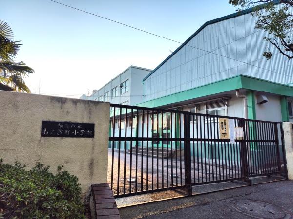 横浜市青葉区もえぎ野の土地(もえぎ野小学校)