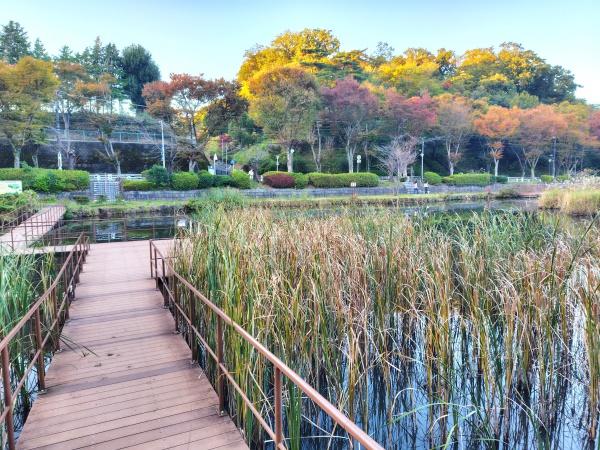 横浜市青葉区もえぎ野の土地(もえぎ野公園)