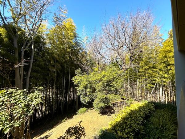 シティテラス横浜仲町台