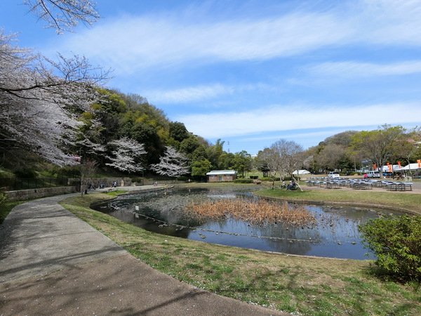 川崎市宮前区東有馬5丁目の中古一戸建て(山田富士公園)