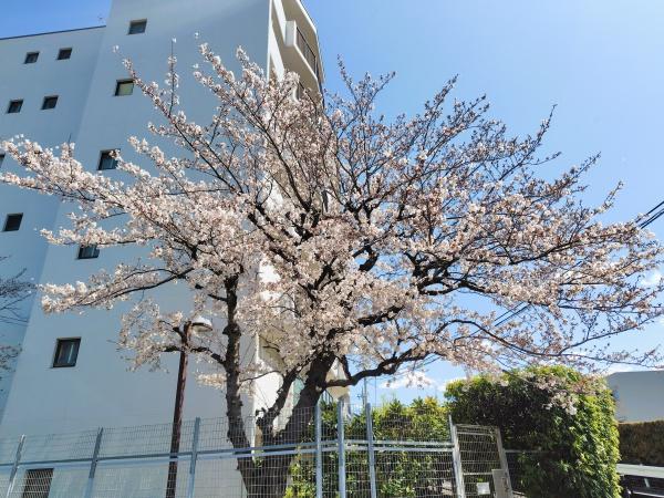 コスモ宮前平