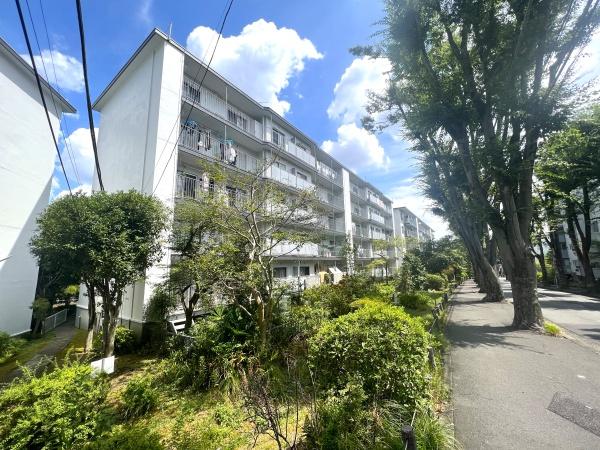 宮前平グリーンハイツ３７号棟