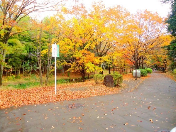 横浜市都筑区折本町新築戸建（GC）(せせらぎ公園)