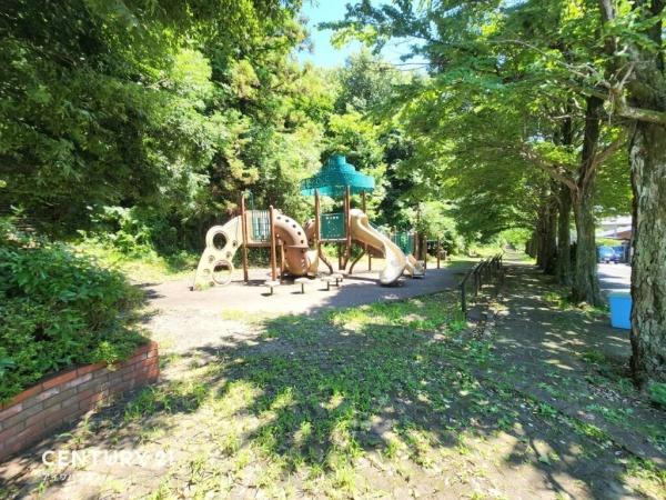 ラグラス向原3号棟(向原の森公園)