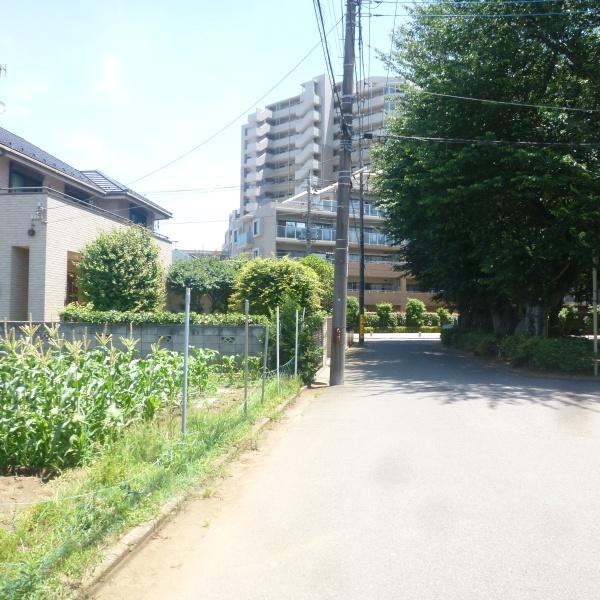 松戸市常盤平双葉町の中古一戸建て