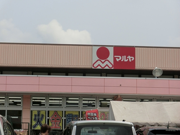 沼南エリカ6号棟(マルヤ沼南店)