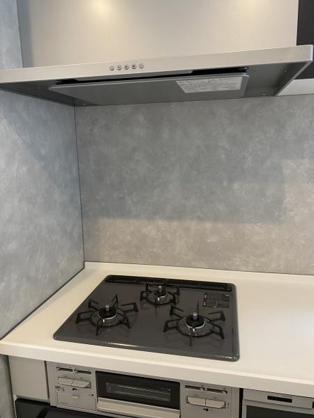 柏市東　A棟　新築戸建