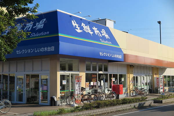 柏市しいの木台2丁目の新築一戸建(FOODS MARKET Selectionしいの木台店)