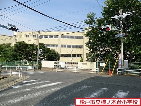 松戸市二十世紀が丘美野里町 1号棟 新築戸建(松戸市立柿ノ木台小学校)