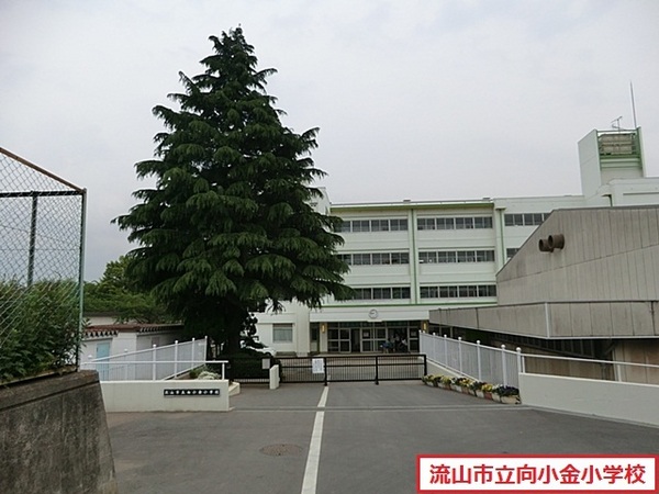 アンビシャス南柏(流山市立向小金小学校)