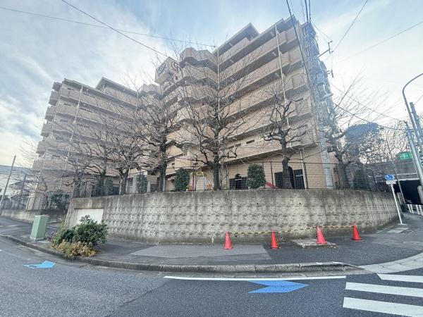 ドムール元山