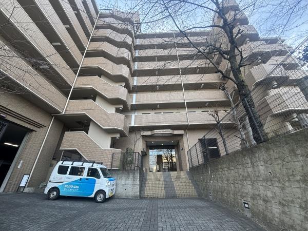 ドムール元山
