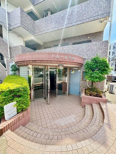ドムール元山